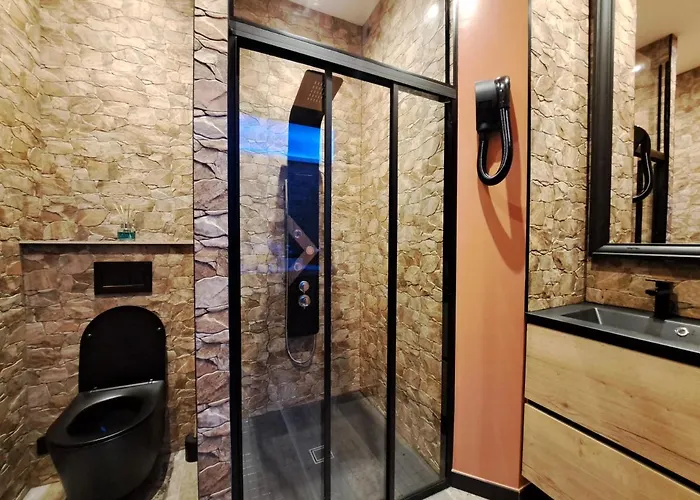 Ospaloft, Meublé De Gamme Avec Privatif Appart hôtel